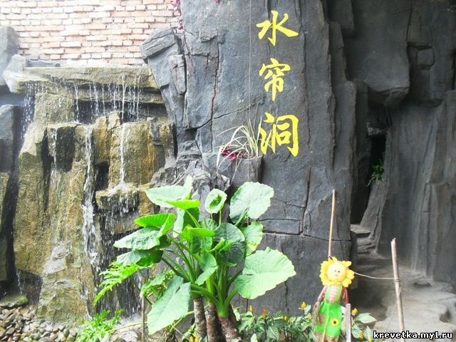 Янцзы.Ботанический сад.
